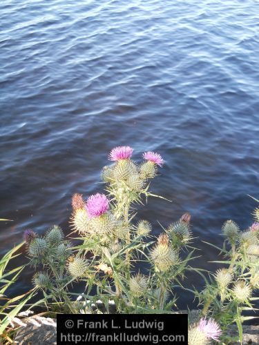 Doorly Park